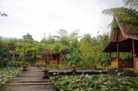 Inspirasi Arsitektur Tradisional Dari Rumah Adat Jawa