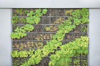 Vertical Garden, Solusi Penghijauan Di Rumah Lahan Minim