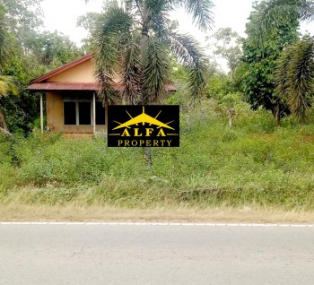 Tanah Ambawang, Pontianak, Kalimantan Barat #1