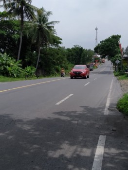 Tanah 1 Hektar Pinggir Jalan Raya Nasional Bandara Yogyakarta #1