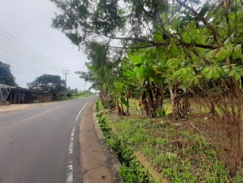 Tanah 2500 M Pinggir Jalan Raya Labuan Pandeglang #1