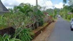 Tanah Ekslusive Buc View Perkebunan Di Kintamani Bangli Dekat Ubud #1