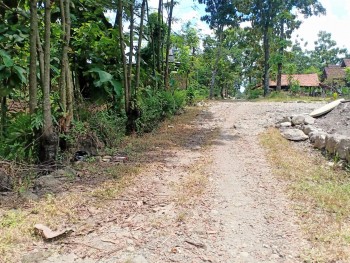 Tanah Cocok Untuk Rumah Tinggal Gondang Sragen #1