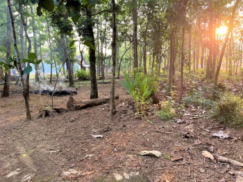 Tanah Dijual Cocok Untuk Rumah Tinggal Bendungan Kedawung Sragen #1