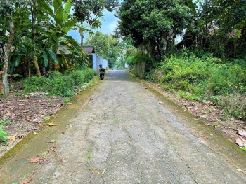 Tanah Datar Cocok Buat Villa Karangpandan Karanganyar #1