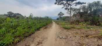 Tanah Untuk Perumahan Dekat Podomoro Park Buah Batu Bandung #1