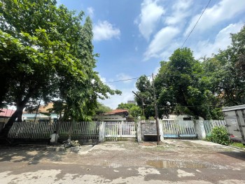 Murah & Istimewa! Rumah 4 Kavling Jejer Di Jalan Bogowonto Pusat Kota #1