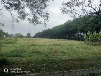 Prospek Bagus Strategis Dekat Tol Tanah Nol Jalan Raya Pandaan-bangil Area Pabrik Cocok Depo Gudang Perumahan #1