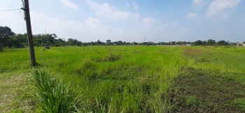 Tanah 1,1 Hektar Murah Di Bangil #1