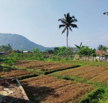 Tanah Desa Sukalarang, Kec.priangan Jaya, Sukabumi #1