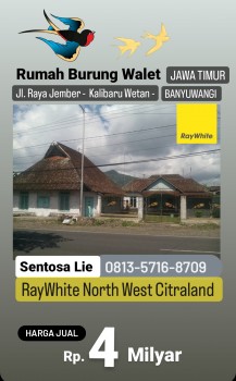Dijual Rumah Walet  Lokasi Jalan Raya Jember - Banyuwangi - Jawa Timur - Plus Ada 3 Kg Sarang Burung #1