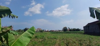 Disewakan Tanah 4 Aredi Padang Galak Sanur Denpasar Bali #1