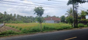Disewakan Tanah 3280 M2 Di Mengwi Jl Denpasar - Singaraja Badung Bali #1