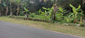 Tanah Dijual: Kavling Murah Utara Jalan Godean Pinggir Jalan Aspal #1