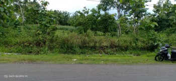 Jual Tanah Pekarangan Pinggir Jalan Di Pracimantoro Wonogiri #1