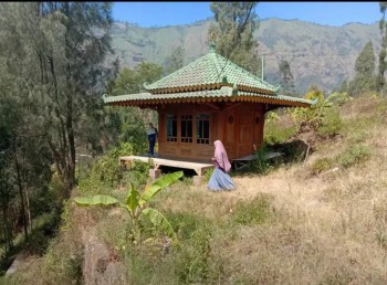 Tanah Di 0 Jalan Propinsi Daerah Wisata Bromo Murah Banget #1