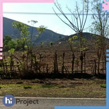 3,7 Hektar Tanah Pinggir Jalan Di Plampang Sumbawa #1