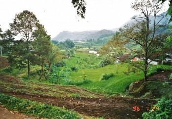 Tanah Trawas Mojokerto #1