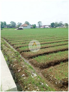 Tanah Sawah Cocok Untuk Cluster Di Banjaran Bandung #1