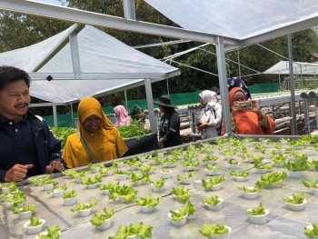 Tanah Kebun Hidroponik Lokasi Strategis Di Mekarsari Rumpin Bogor #1