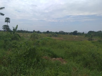 Dijual Tanah 65 Hektare Di Sekitar Ciruas, Serang, Banten #1