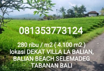 Tanah Dijual Murah View Sawah 41 Are Di Balian Beach Selemadeg Tabanan Bali #1
