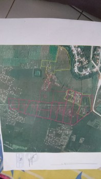 Tanah Murah 6,8h Dan Strategis Pantai Harapan Jaya Muara Gembong Dekat Pertamina #1