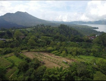 Tanah Dijual View Gunung Dan Danau Di Kintamani , Bali #1