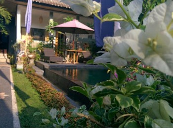 Villa Komersil View Sawah Nuansa Alam Bali Sayan Ubud Bali #1