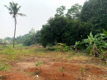 Dijual Tanah 3000 M Di Mandor Aren Ciketing Udik Bantar Gebang Bekasi #1
