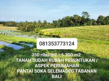 5.300 M2 Tanah Dijual Murah View Gunung Sawah Laut Di Selemadeg Tabanan Bali #1
