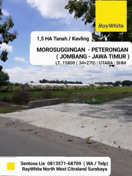 Dijual 1,5 Ha Tanah Kavling Morosuggingan - Peterongan- Jombang - Jawa Timur- Akses Jalan Aspal - Shm #1
