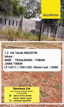 1,2 Ha Tanah Industri Nol Jalan Wire - Tegalbang - Tuban - Jawa Timur  - Strategis Lokasi Nol Jalan Propinsi- Shm #1