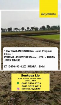 1 Ha Tanah Industri Pereng - Jenu - Tuban - Jawa Timur  - Nol Jalan Raya Pantura - Akses Truck Kontainer - Surat Shm #1