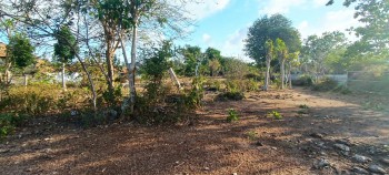 Dijual Tanah Jimbaran Jl Karang Mas Kuta Selatan Bali #1