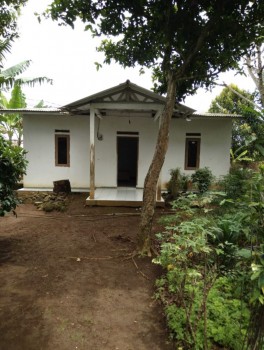 Rumah Kebun, 600jt Di Caringin Kabupaten Bogor #1