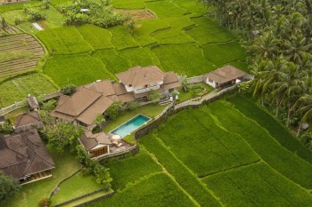 Paddy Rice Field View Villa Pejeng Ubud Bali #1
