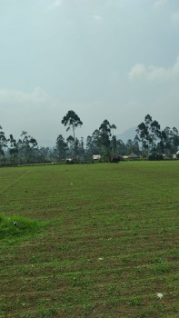 Tanah Padat 3,5ha Harga Sangat Menarik Cocok U/investasi Di Pangalengan Bandung #1