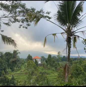 Dijual Tanah View Sawah Gunung Laut Di Jatiluwih Penebel Tabanan Bali #1