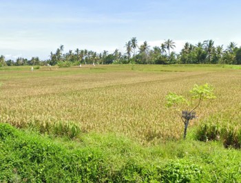 Dijual Tanah View Sawah Dan Laut Di Medahan Blahbatuh Gianyar Bali #1