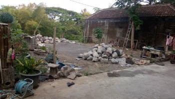 Tanah Murah Strategis Dekat Jalan Yogya-solo Tirtomartani Kalasan #1