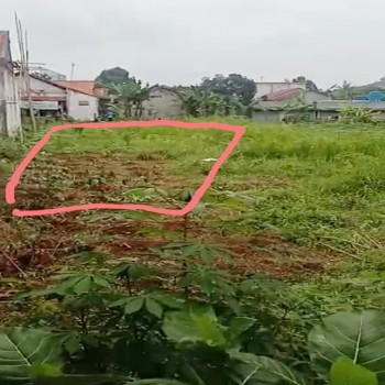 Tanah Dijual Dekat Sma Negeri 1 Ciampea Bogor, Kampus Ipb Dramaga Bogor, Kampoeng Wisata Cinangneng Bogor #1