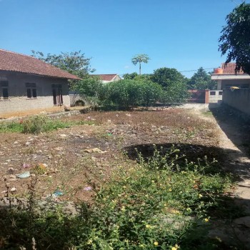 Tanah Dijual Di Ciseeng Bogor Dekat Politeknik Ssn, Pemandian Air Panas Tirta Sanita Ciseeng, Pasar Ikan Koi Ciseeng #1