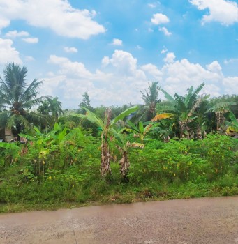Tanah Dijual Murah Strategis Di Jl. Talang Buluh Km.16 Talang Kelapa Banyuasin Dekat Perumahan Tiga Putri Palembang #1