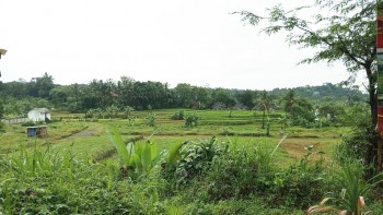 Tanah Dijual Di Tamansari Bogor Dekat Desa Wisata Pasireurih, Sman 1 Tamansari, Pusdikintel Kodiklat Tni Ad, Bogor Nirwana Residence #1