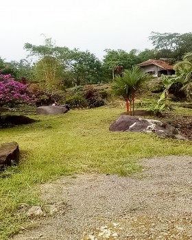 Tanah Dijual Murah Di Ciampea Bogor Cocok Untuk Dibangun Villa Dekat Pasar Selasa, Ponpes Baitul Quran Arrahim #1