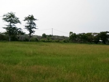 Tanah Disewakan Di Desa Jarangan, Rejoso, Pasuruan Gmk00383 #1
