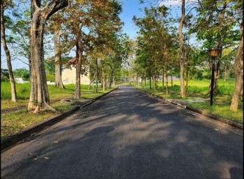 Tanah Kavling Murah Taman Dayu Pandaan Cocok Utk Villa/perumahan #1
