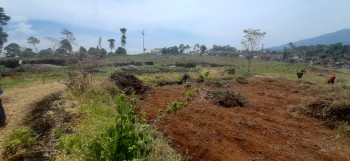 Tanah Padat Kawasan Pemukiman  Di Tanjungsari, Sumedang #1