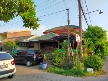 Rumah Hook Luas Di Tlogomulyo Pedurungan Semarang #1